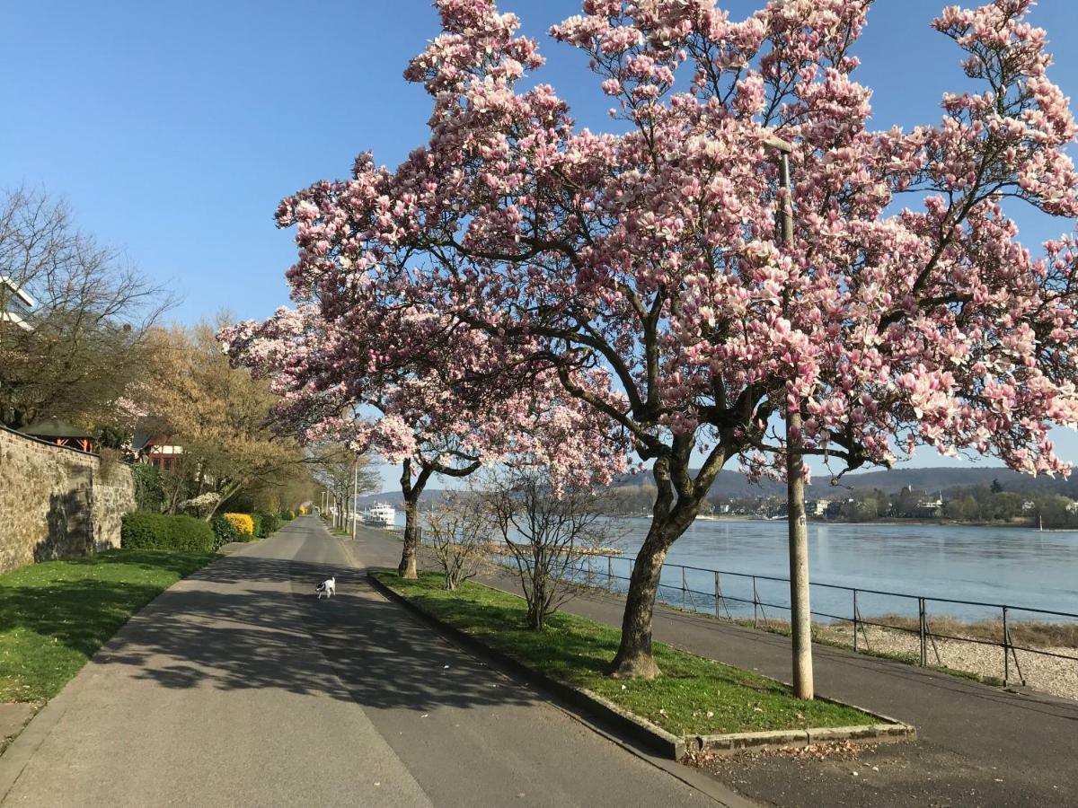 Вилла Ferienhaus Rheinperle Mit Garten In Remagen Am Rhein - Naehe Bonn Экстерьер фото